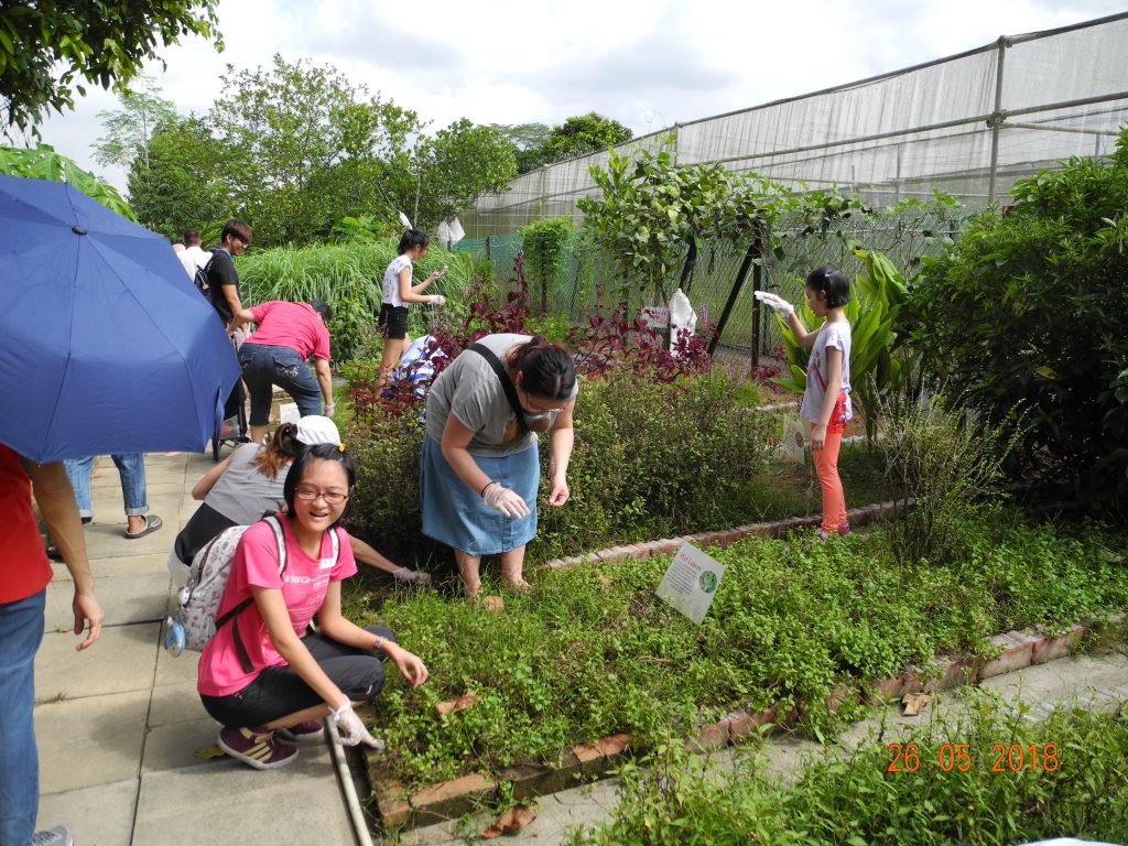 Farming Experience! Carmel Church Singapore